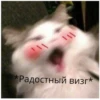 Стики 4281 из @Anonymnyi_chat_bot 22