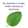 ки-сон @Shrifty_textbot 21