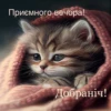 e Приємного вечора! Добраніч!