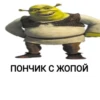 Shrek 🤢 27