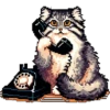 pixel-manul 24