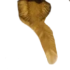 Cats 1.0 by Arsenus 26