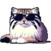 pixel-manul 27