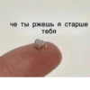 ки-сон @Shrifty_textbot 28