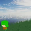 Ski Niro nirg