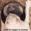 ЛYчьше стикеры - @lovesticers 3