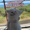 ОБНИМАЮ МОЯ СЛАДОСТЬ