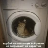 ЛYчьше стикеры - @lovesticers 7