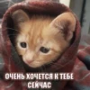 ОЧЕНЬ ХОЧЕТСЯ К ТЕБЕ СЕЙЧАС