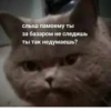 ЛYчьше стикеры - @lovesticers 8