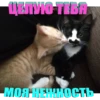 ЦЕЛУЮ ТЕБЯ МОЯ НЕЖНОСТЬ