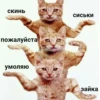 ЛYчьше стикеры - @lovesticers 9