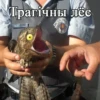 Трагічны лёс CB PM POLICIA MILITAR