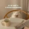 ЛYчьше стикеры - @lovesticers 10