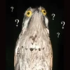 ? ? ? ? ?