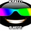 RAP FROGS 9