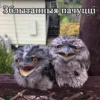 Зблытанныя пачуцці