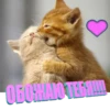 OGORANO TEGA!!!