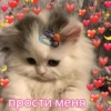 прости меня