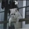 ЛYчьше стикеры - @lovesticers 15