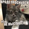 ВРОДЕ ПРОСНУЛСЯ HO НЕ ВЫСПАВСЯ
