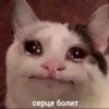 ЛYчьше стикеры - @lovesticers 18