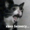 ЛYчьше стикеры - @lovesticers 19