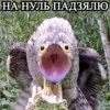 НА НУЛЬ ПАДЗЯЛЮ
