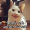 ЛYчьше стикеры - @lovesticers 21
