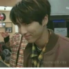 STRAYmemesKIDSbr