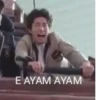 E AYAM AYAM