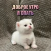 ДОБРОЕ УТРО Я СПАТЬ