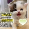 УДАЧИ СОЛНЦЕ