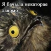 Я бачыла некаторае дзярмо