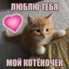 ЛЮБЛЮ ТЕБЯ МОЙ КОТЁНОЧЕК