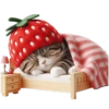 Bedtime