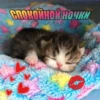 СПОКОЙНОЙ НОЧКИ