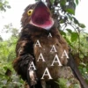 A A A A A A 44 A A