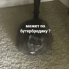 ЛYчьше стикеры - @lovesticers 26