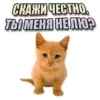 СКАЖИ ЧЕСТНО, ТЫ МЕНЯ НЕ ЛЮ