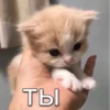 ТЫ