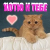KOTLO K TEGE