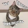 Ты APOCTO ПРЕЛЕСТЬ