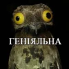 ГЕНІЯЛЬНА