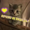ПОЧЕМУ НЕ ПИШЕШЬ?