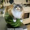 ЛYчьше стикеры - @lovesticers 30