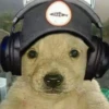 Puppy 5