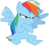 Rainbow Dash 10
