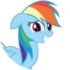 Rainbow Dash 11