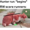 rain world 13